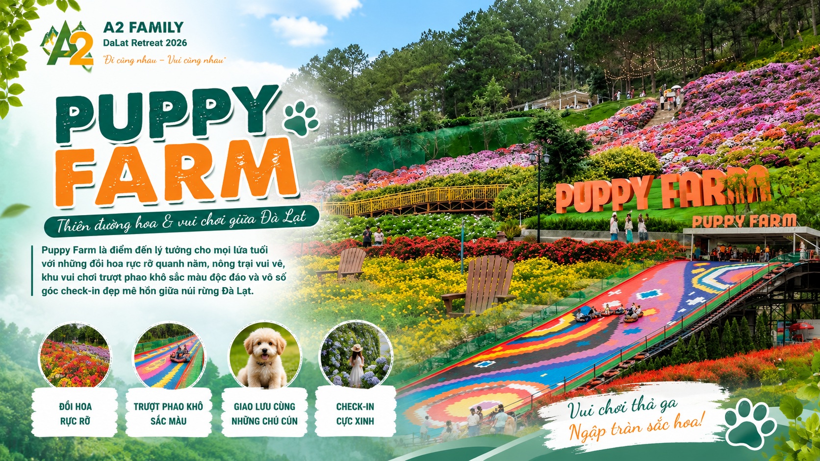 Puppy Farm